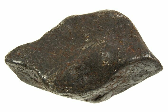 Canyon Diablo Iron Meteorite ( g) - Arizona #335969